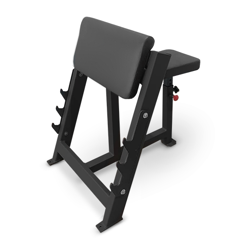 BRONZE GYM AL-303 Скамья Скотта BRONZE GYM AL-303 Скамья Скотта