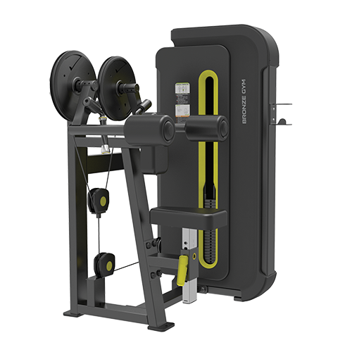 BRONZE GYM BW-3005 Дельта-машина BRONZE GYM BW-3005 Дельта-машина
