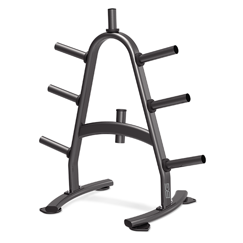 BRONZE GYM BR-1022 Стойка для дисков BRONZE GYM BR-1022 Стойка для дисков