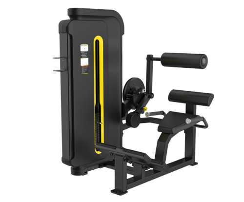 SVENSSON INDUSTRIAL H3031 Matte black Разгибание спины SVENSSON INDUSTRIAL H3031 Matte black Разгибание спины