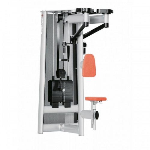 Задняя дельта Gym80 Sygnum Standards 3025 Задняя дельта Gym80 Sygnum Standards 3025