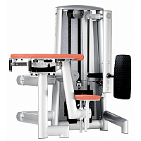 Тренажер для ягодичных мышц Gym80 Sygnum Standards 3004