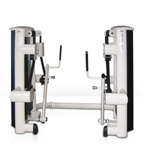 Многофункциональная станция  Gym80  Sygnum Basic 4403