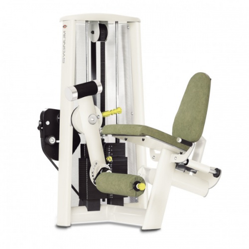 Разгибание ног сидя Gym80 Sygnum Medical 3201 Разгибание ног сидя Gym80 Sygnum Medical 3201