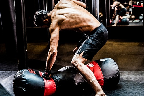 Мешок для грепплинга UFC фото 8