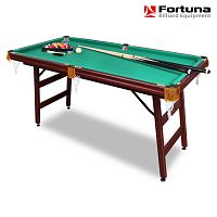 Бильярдный стол Fortuna Пул 5фт с комплектом аксессуаров