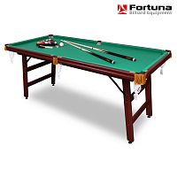 Бильярдный стол Fortuna Пул 6фт с комплектом аксессуаров