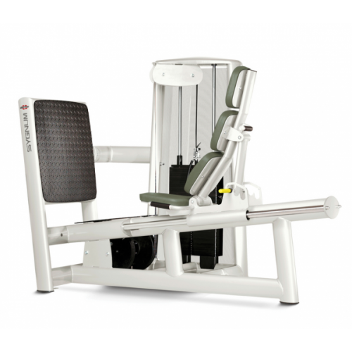 Гак машина Gym80 Sygnum Medical 3258 Гак машина Gym80 Sygnum Medical 3258