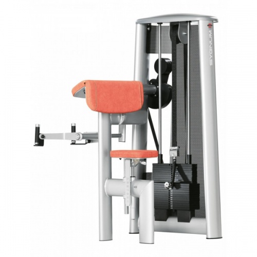 Бицепс машина Gym80 Sygnum Standards 3010