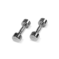 BRONZE GYM BG-PA-DB-C04 Гантель хромированная 4 кг