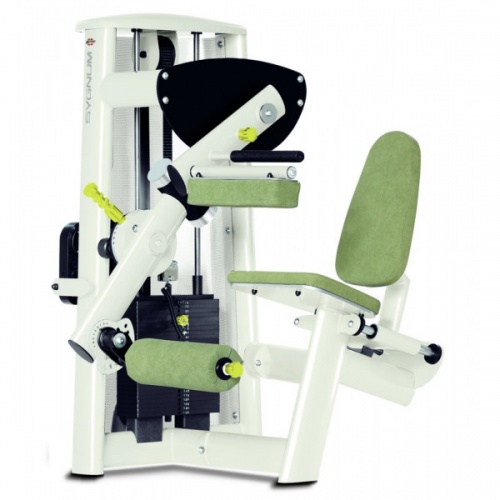 Сгибание ног сидя Gym80 Sygnum Medical 3203 Сгибание ног сидя Gym80 Sygnum Medical 3203