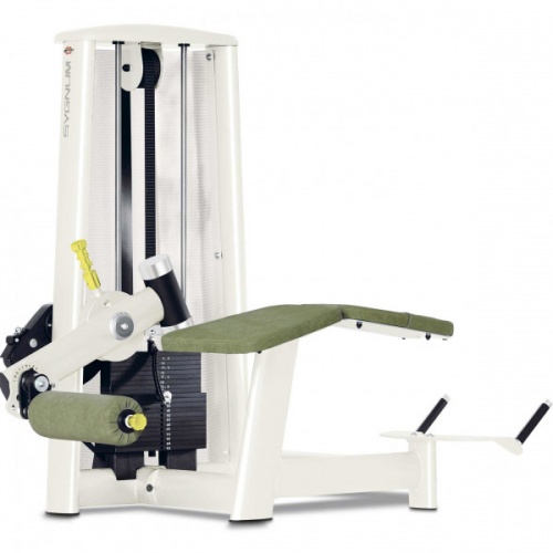 Сгибание ног лежа Gym80 Sygnum Medical 3202 Сгибание ног лежа Gym80 Sygnum Medical 3202