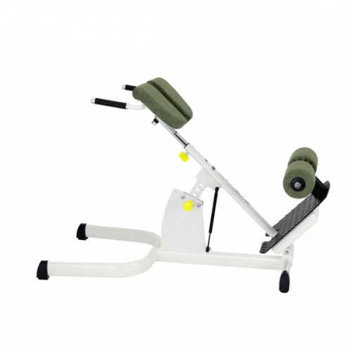 Гиперэкстензия Gym80 Sygnum Medical 3237 Гиперэкстензия Gym80 Sygnum Medical 3237