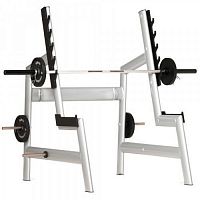 Стойка Gym80  Sygnum Basic 4094