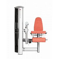 Разгибание ног сидя Gym80 Sygnum Standards 3001