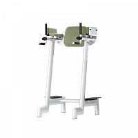 Тренажер пресс-брусья Gym80  Sygnum Medical 3254