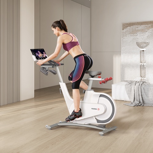 Велотренажер YESOUL Smart Spinning bike V1 белый фото 10
