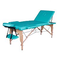 Массажный стол DFC NIRVANA Relax Pro, цвет зелёный