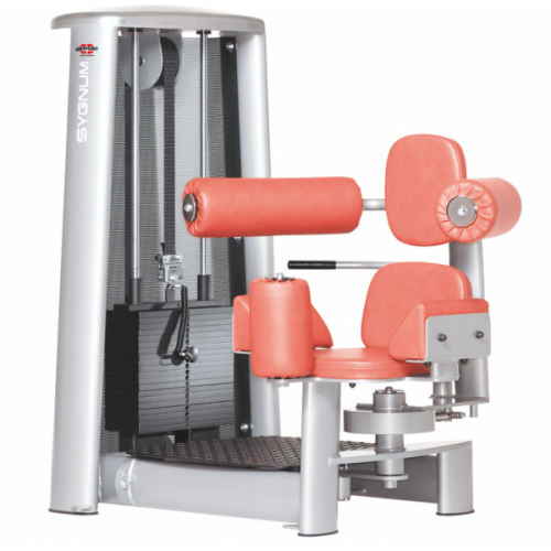 Пресс-машина Gym80 Sygnum Standards 3024 Пресс-машина Gym80 Sygnum Standards 3024