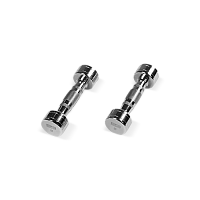 BRONZE GYM BG-PA-DB-C02 Гантель хромированная 2 кг