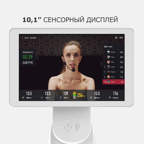 Велотренажер Yesoul BS3-W PRO фото 6