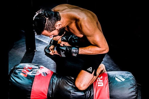 Мешок для грепплинга UFC фото 7