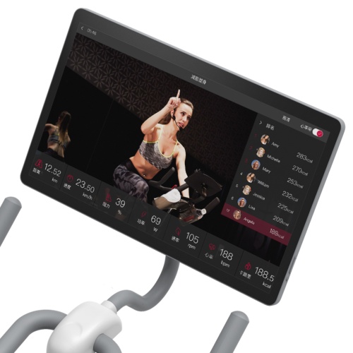 Велотренажер Yesoul BS3-W PRO PLUS фото 4
