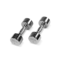 BRONZE GYM BG-PA-DB-C06 Гантель хромированная 6 кг
