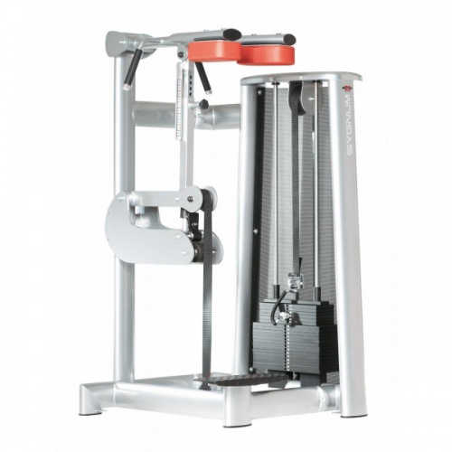 Голень стоя Gym80 Sygnum Standards 3018