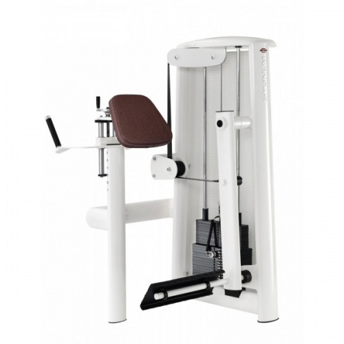 Глют машина Gym80 Sygnum Standards 3005 Глют машина Gym80 Sygnum Standards 3005