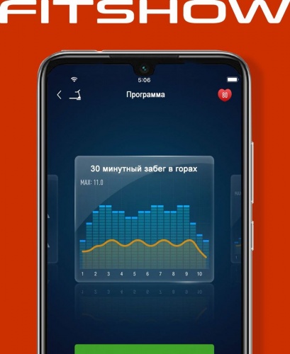 Беговая дорожка Titanium Masters Physiotech THF фото 18