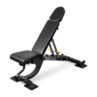 BRONZE GYM BR-1008 Универсальная регулируемая скамья